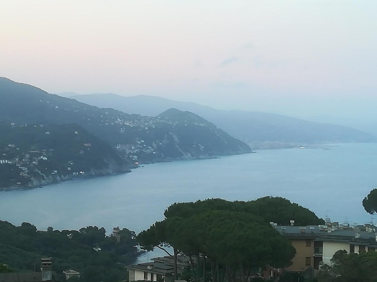 Residence Portofino Est Cod L07441 拉帕洛 外观 照片